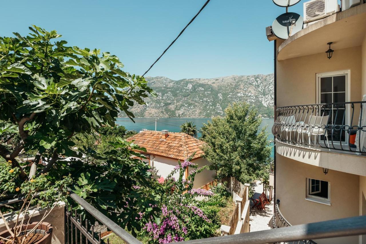 Apartments Cosovic Kotor Luaran gambar